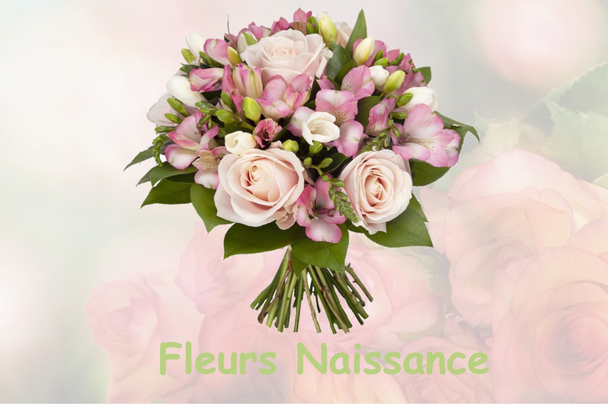 fleurs naissance PONTHOUX