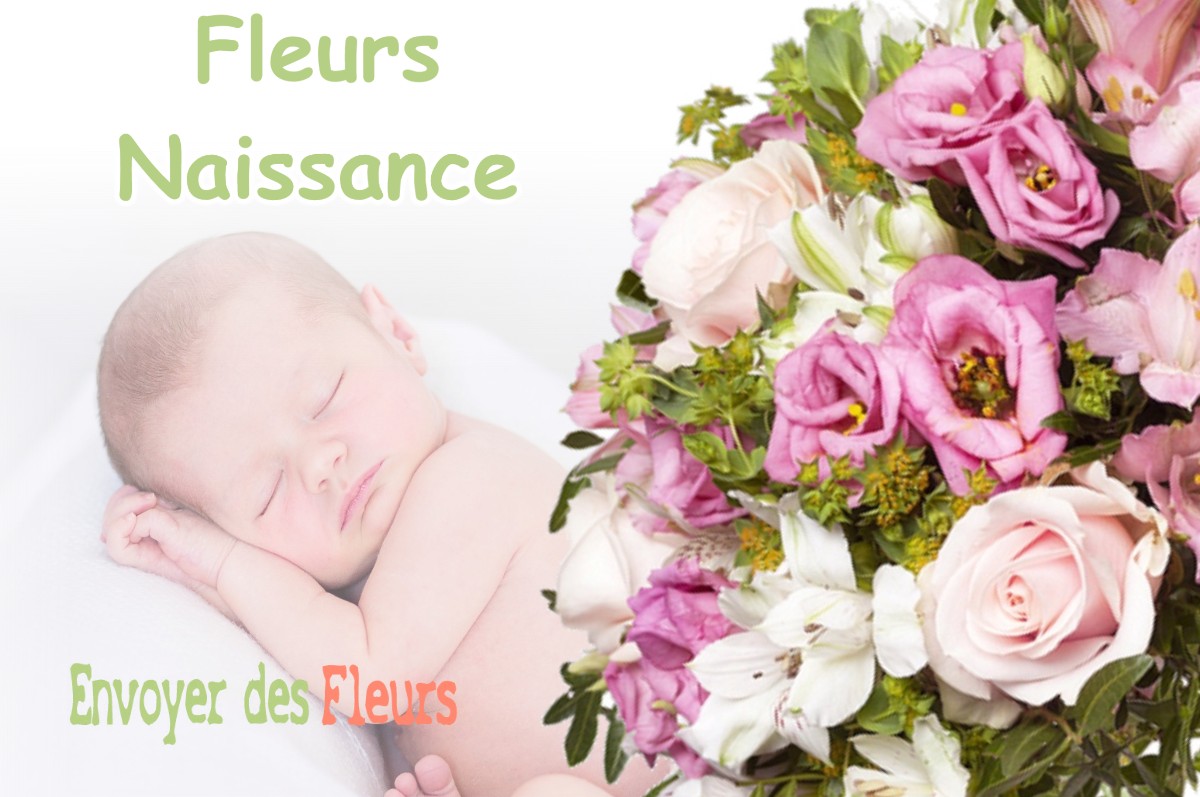 lIVRAISON FLEURS NAISSANCE à PONTHOUX